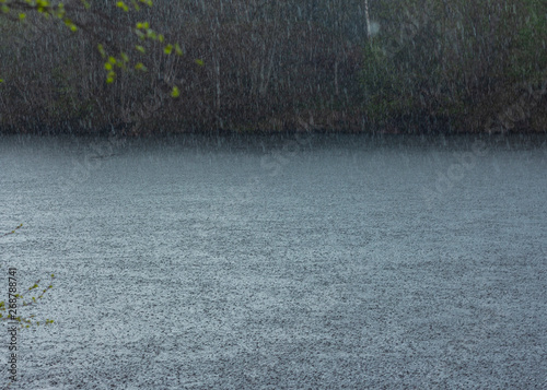 Heavy rain on the pond