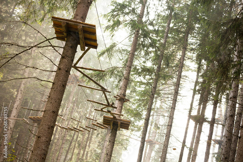 Tree climbing long an equipped route inside a n Italian woods in Dolomites, Italy.