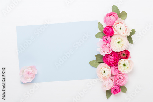 Beautiful colored ranunculus flowers on a white background. Spring greeting card.