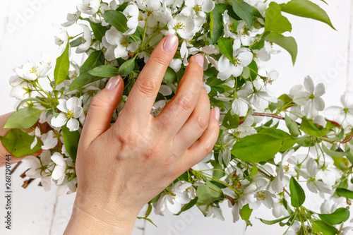 Beautiful girl hands with a branch of a blossoming apple tree