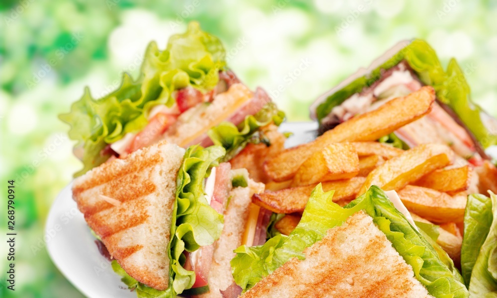 Grilled sandwiches with french fries on white plate Grilled sandwiches with french fries on white plate