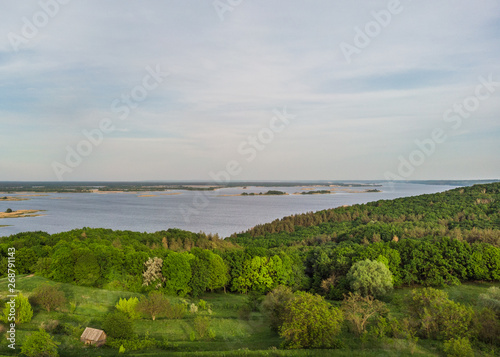 Wallpaper Mural Forest near river with islands Torontodigital.ca