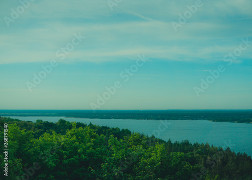 Forest near river on the sunset