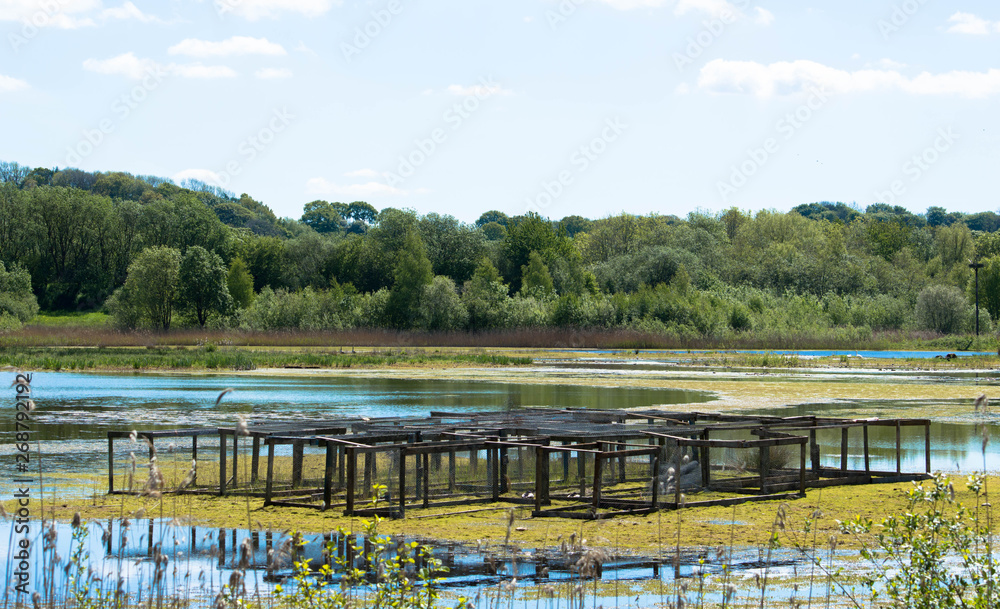 Obraz premium boxes on lake beneath a blue sky