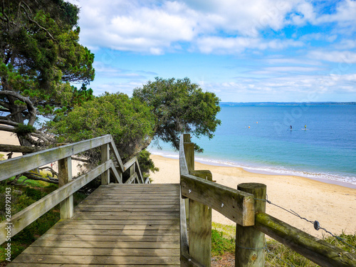 Wooden planks walking path overlooking beautiful sandy beach and blue ocean. View of coastal wood pallet walkway and green trees with people surfing in distance. Phillip Island  VIC Australia.