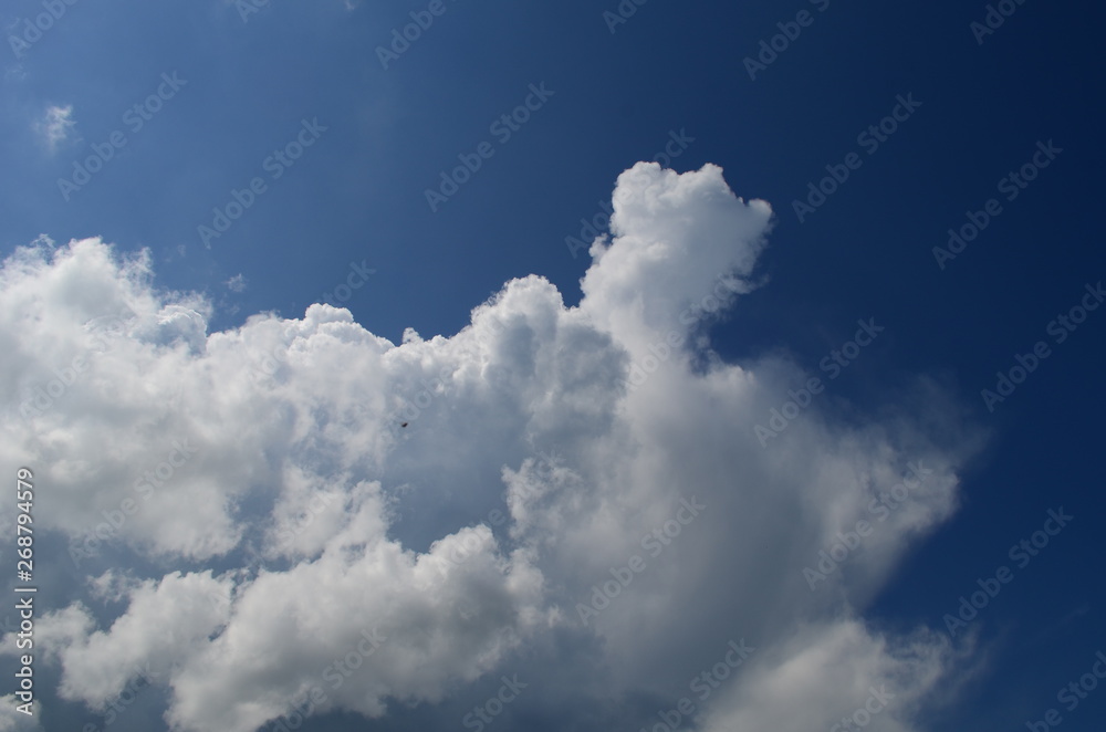 blue sky with beautiful white fluffy clouds