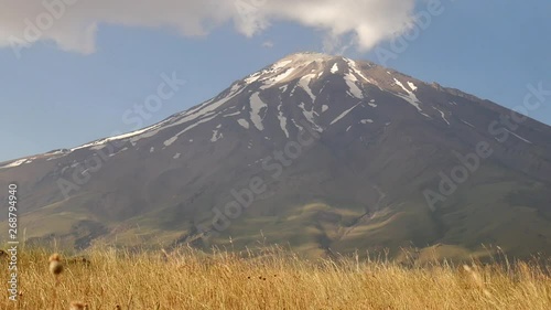 A great shot of Damavand snowy peak and foothill and clouds moving over A 4K shot of Damavand's snowy peak and some clouds moving in blue sky and yellow plants shaking by wind great landscape