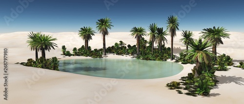 Oasis in the desert of sand, palm trees and a pond in the sands, photo
