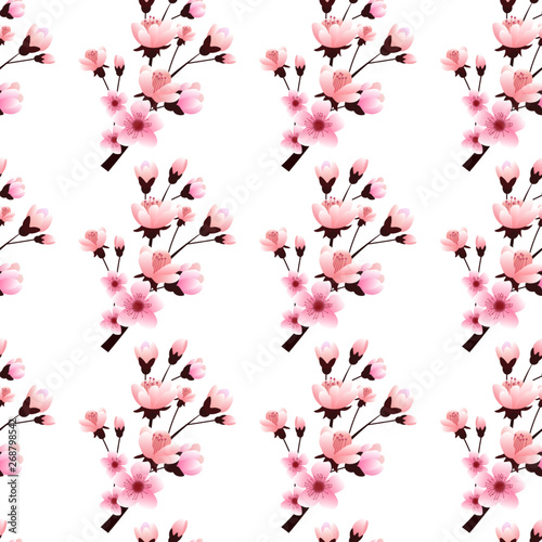 Sakura blossoms, branch, seamless pattern, vector illustration.