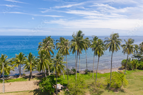 Landscape with coconut trees and turquoise lagoon, view from above.Seascape with palm trees and a pebbly beach,Philippines,Camiguin,aerial view.