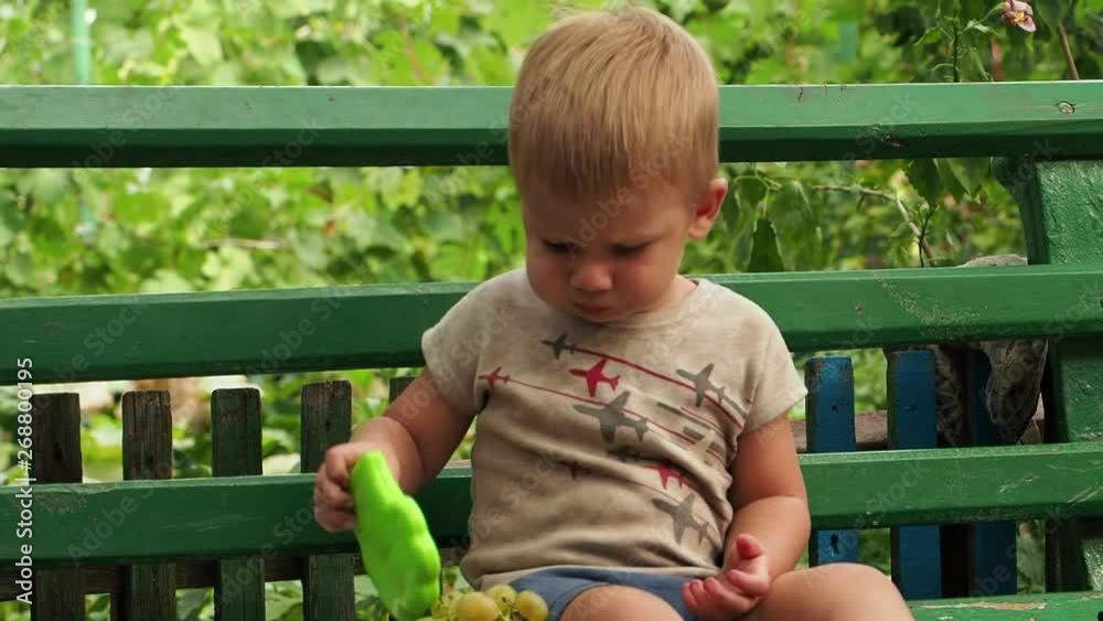 Little boy sitting on a bench eating grapes Child of the European appearance in the summer resting Little boy sitting on a bench eating grapes Child of the European appearance in the summer resting