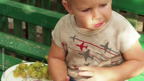 Little boy sitting on a bench eating grapes   Child of the European appearance in the summer resting