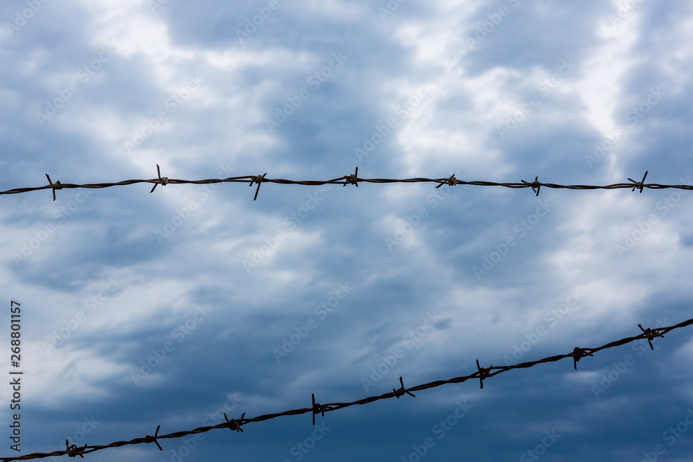 fence of barbed wire against the background of a beautiful blue sky.rusty fence of barbed wire fence at jail or border. fence of barbed wire against the background of a beautiful blue sky.rusty fence of barbed wire fence at jail or border.