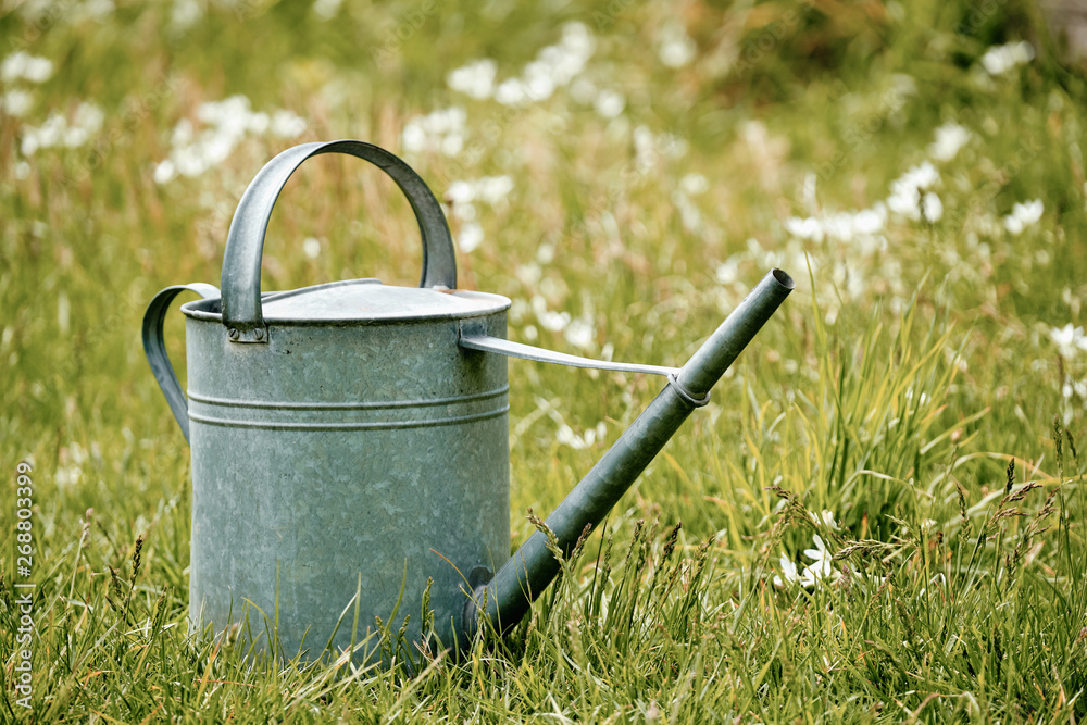 Old metal watering can standing in a beautiful flowering springtime meadow Old metal watering can standing in a beautiful flowering springtime meadow