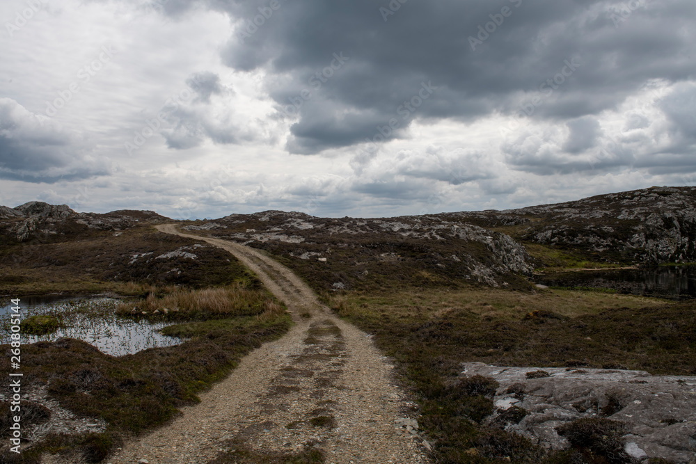 Fototapeta premium the most beautiful island in Ireland : INISHBOFIN