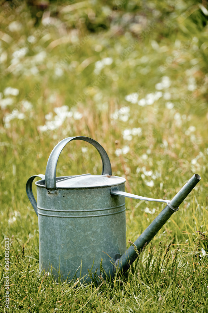 Old metal watering can standing in a beautiful flowering springtime meadow Old metal watering can standing in a beautiful flowering springtime meadow