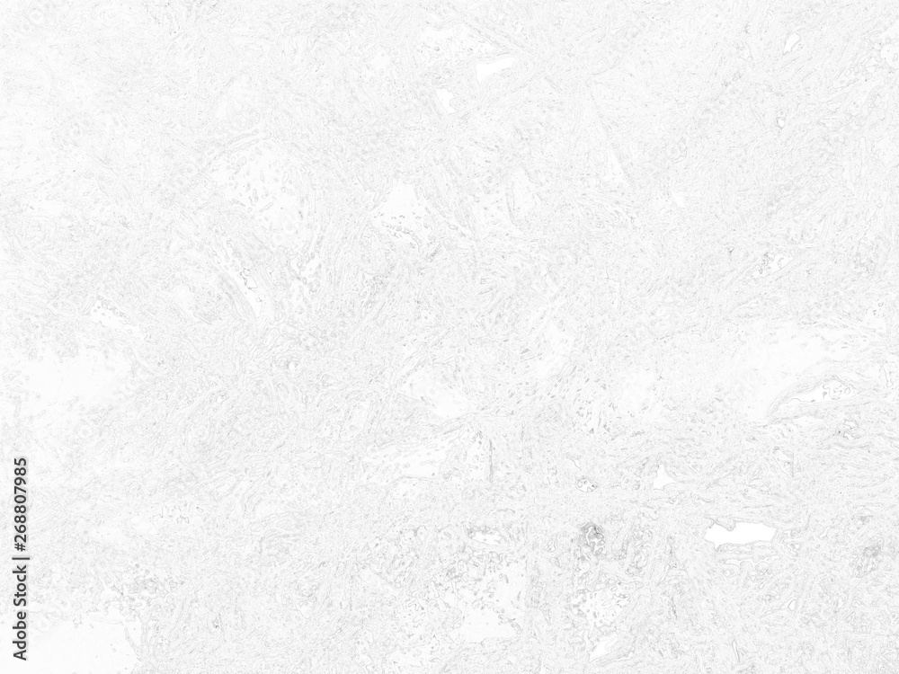 Obraz premium white wall background