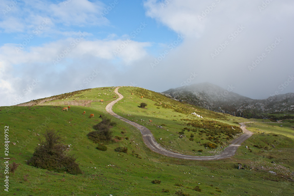 Fondo montaña