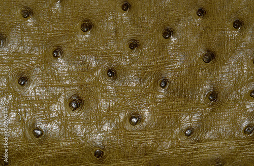 Relief texture of ostrich skin
