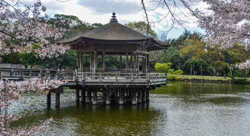 Ukimido Gazebo during cherry blossom