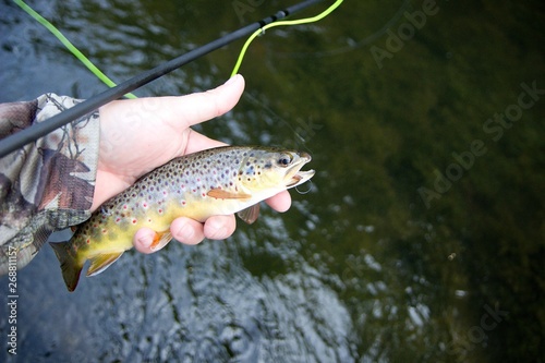 fisherman holding a trout caught on a fly