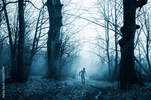 Fototapeta Naklejka Na Ścianę i Meble -  scary zombie in horror forest landscape
