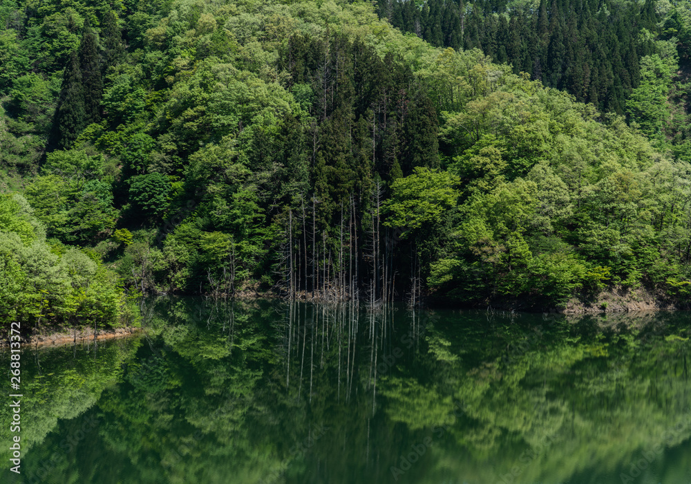 緑に萌える湖