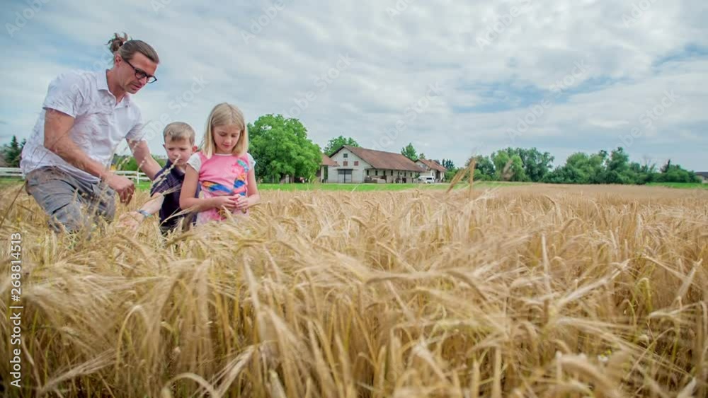 Father and his two children are walking on the wheat field and he is explaining something to his kids. It's a nice summer day. Father and his two children are walking on the wheat field and he is explaining something to his kids. It's a nice summer day.