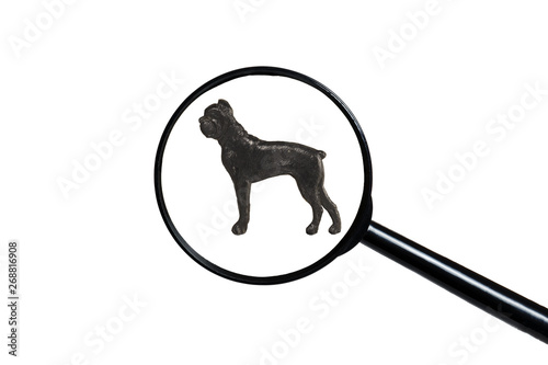 Boxer, Silhouette of dog on white background, view through a magnifying glass