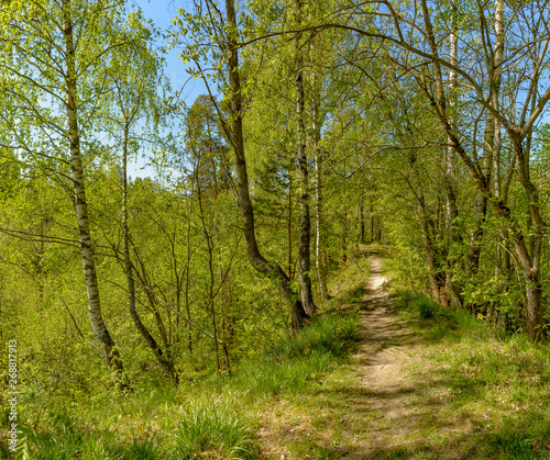 The Sablino nature reserve.