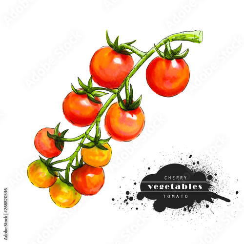 Cherry tomatoes isolated on white background. Illustration of a raw vegetable sketch. Veggiery and healthy nutrition.