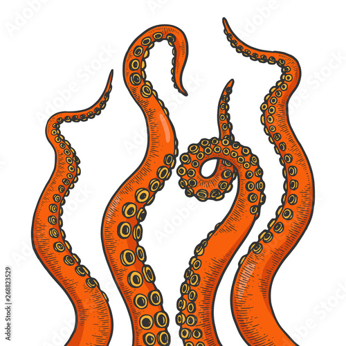 Octopus tentacle set color sketch line art engraving vector illustration. Scratch board style imitation. Black and white hand drawn image.