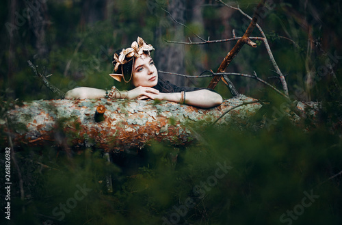 Cuadro en lienzo beautiful elf woman fabulous, fairy forest, famtasy young woman with long ears,