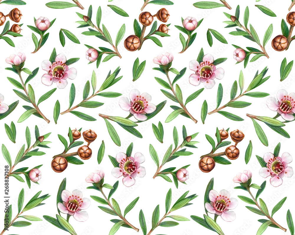 Manuka Flowers, Leaves and Fruit Pencil Drawing Seamless Pattern Manuka Flowers, Leaves and Fruit Pencil Drawing Seamless Pattern