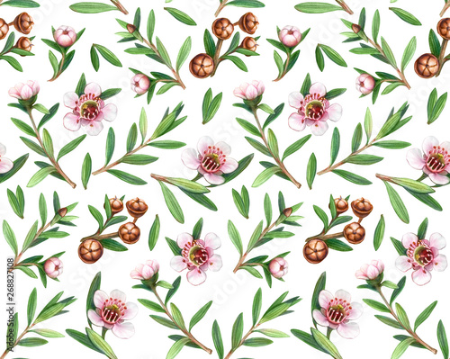 Manuka Flowers, Leaves and Fruit Pencil Drawing Seamless Pattern