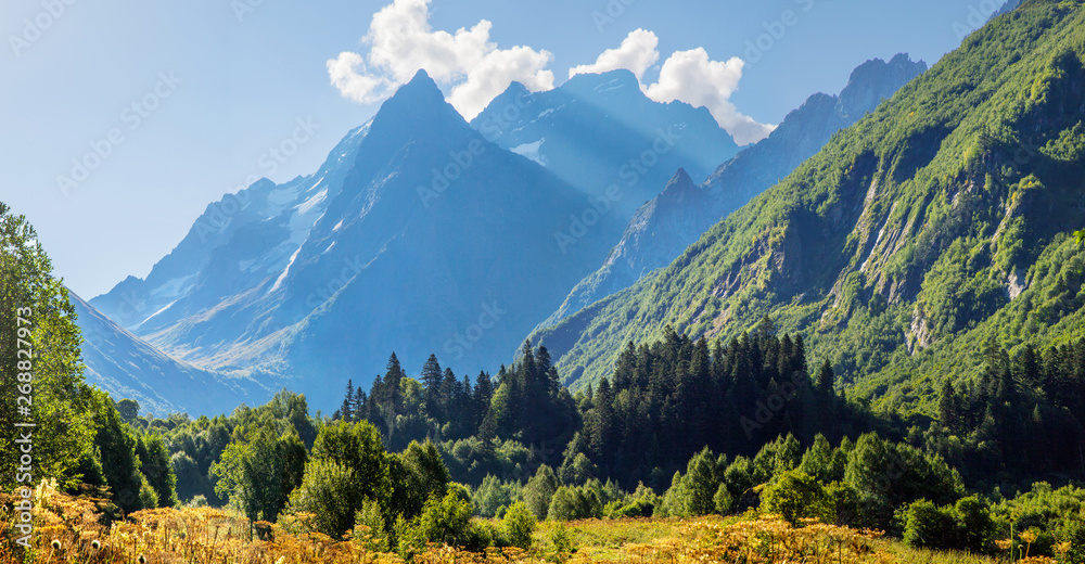 Morning in the mountains. Scenic valley in the Caucasus Mountains, Dombay. Summer greens and snow-capped peaks. 
