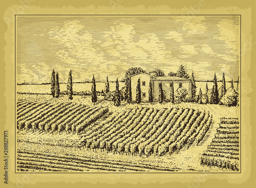 Hand drawn landscape. Antique house, garden, vineyard. Old craft paper texture. Abstract nature background. Template for your design works. Engraved style vector illustration.