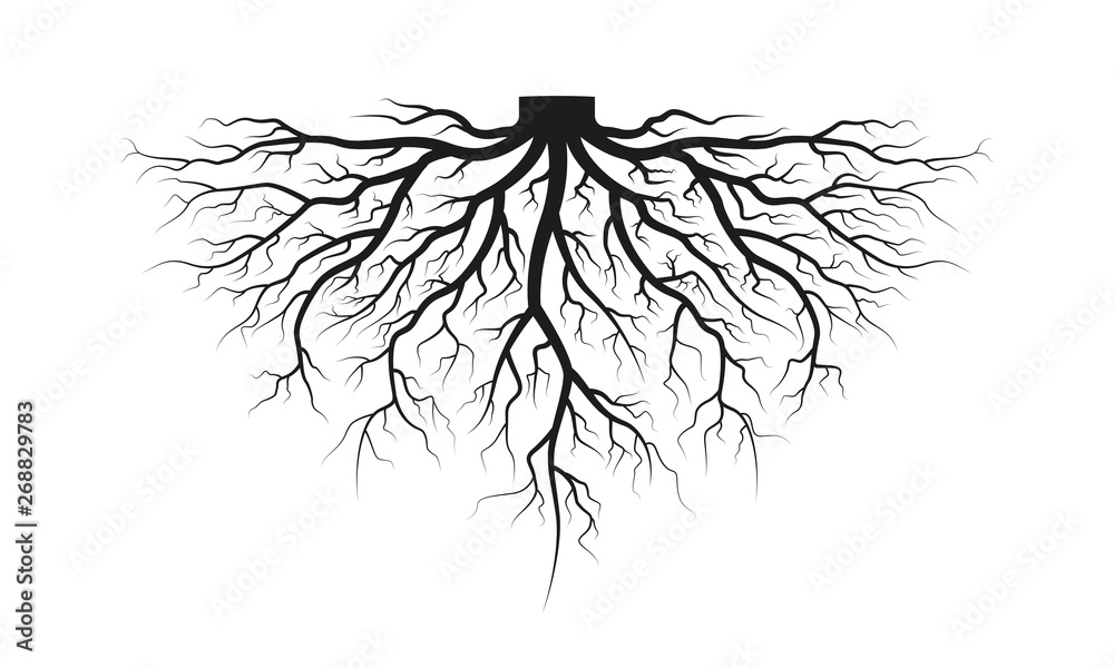 Root Of The Tree Black Silhouette Vector Illustration Stock Vector