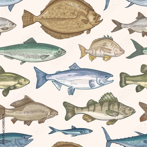 Elegant seamless pattern with different types of fish on light background. Backdrop with marine or freshwater animals, aquatic creatures. Hand drawn vector illustration in vintage style for wallpaper.