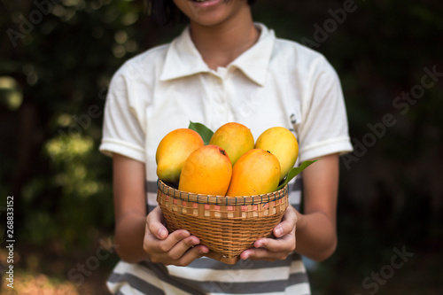 Asian girl holding a yellow ripe mango basket in hand