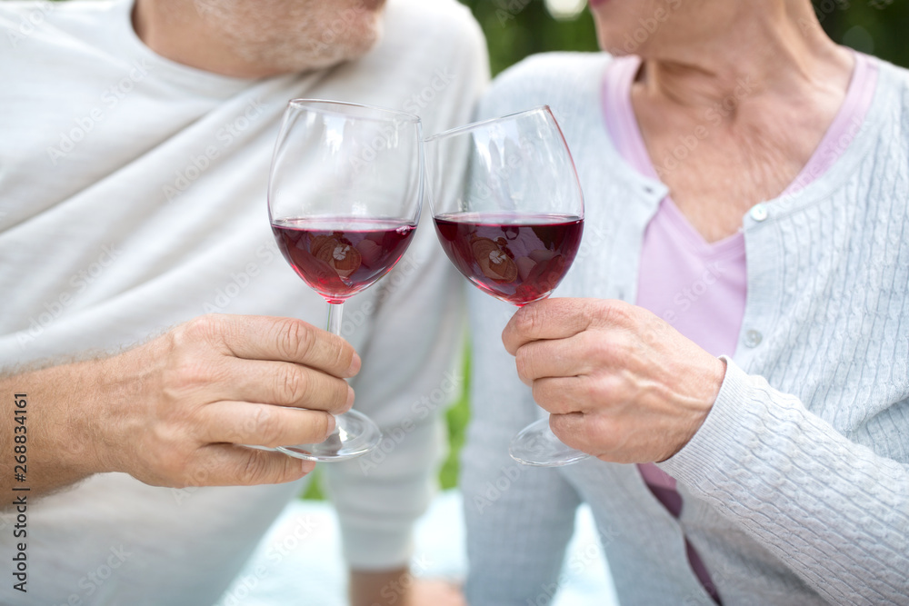 old age, leisure and people concept - happy senior couple clinking wine glasses at summer park old age, leisure and people concept - happy senior couple clinking wine glasses at summer park