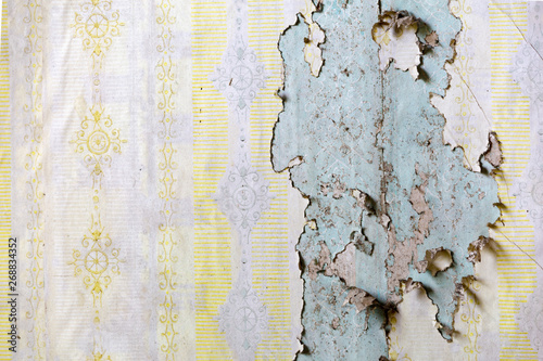 Texture of yellow wallpaper peeling form a wall on a wall in an abandoned house