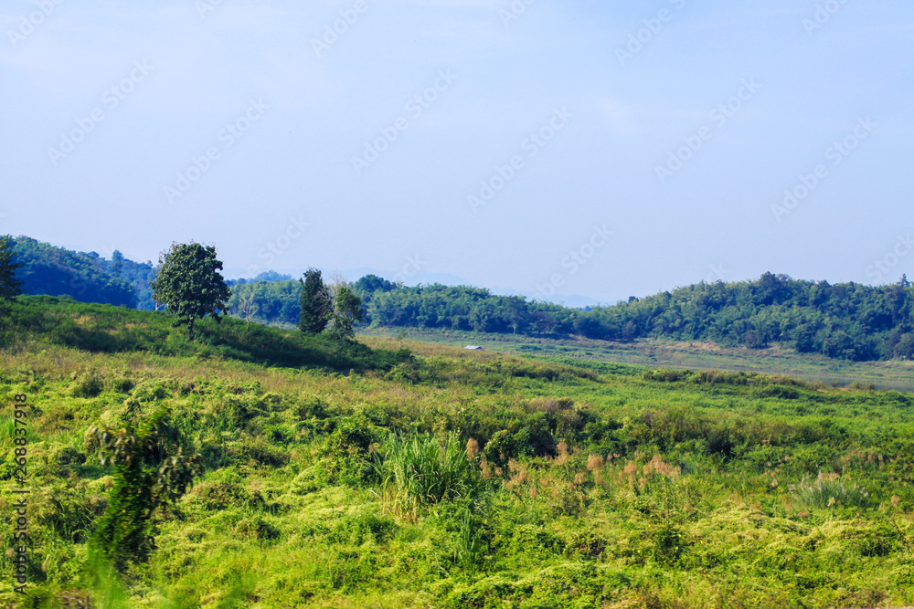 Landscape of green meadow on the mountain with blue sky and clond Landscape of green meadow on the mountain with blue sky and clond