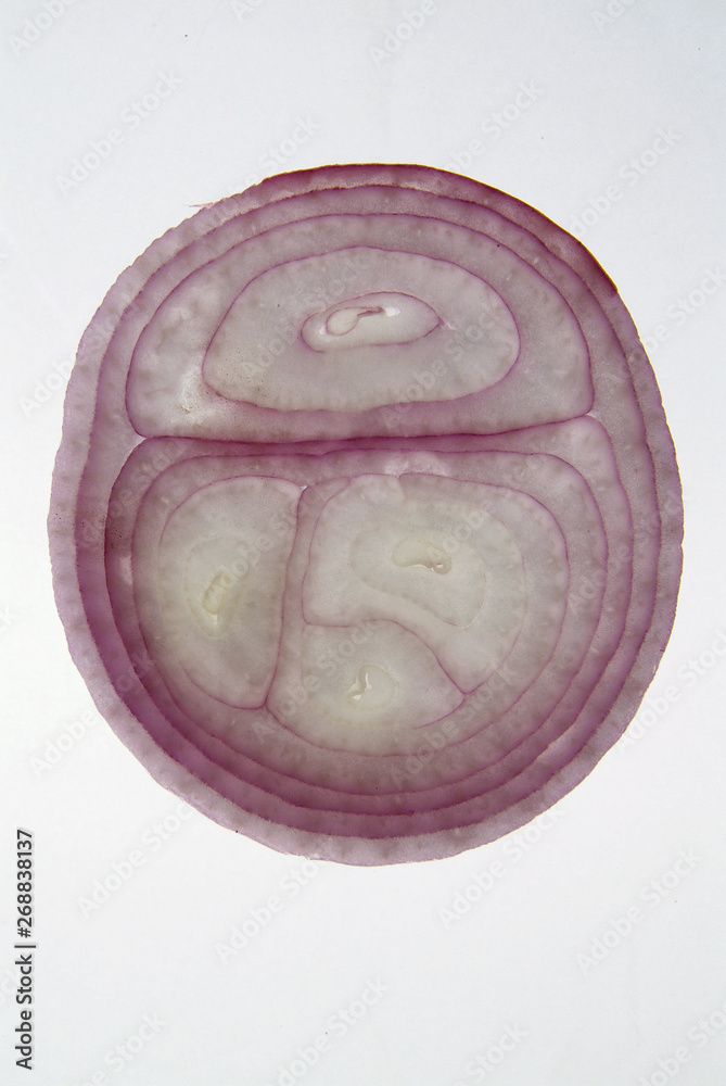 Fototapeta premium Cross section slice of red onion against light background