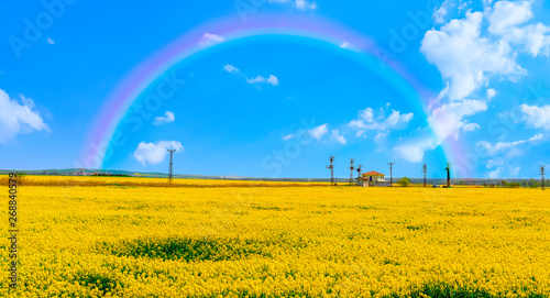 Yellow canola fields with beautiful panoramic view under rainbow near Sakarya River, Polatli, Ankara photo