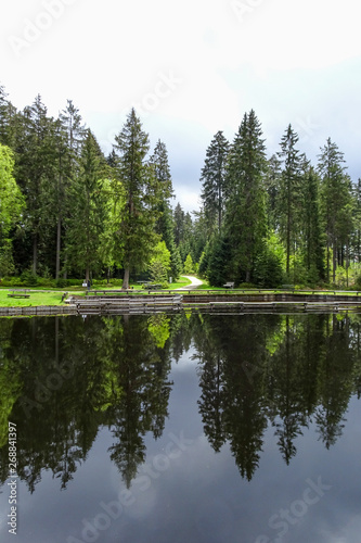 ein kleiner See im Wald romantisch
