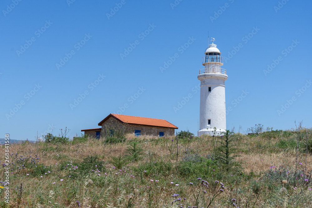 summer landscape with a view of the lighthouse