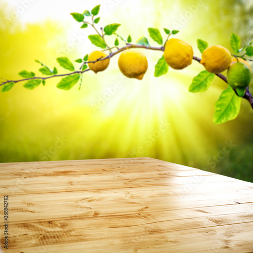 Table background of free space and summer garden background. Branch of fresh lemons and summser sunny day.  photo