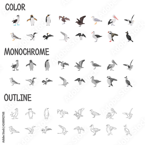 Different sea birds color flat  black and white colors  line  simple concept icons set