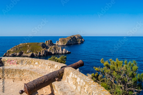 Old cannon cannon overhang the marine reserve of the Malgrats Islands photo